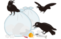 野生動物による被害